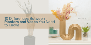 10 Differences Between Planters and Vases You Need to Know!