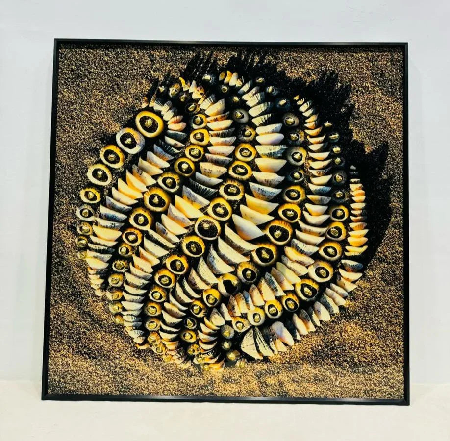 Glass Shadow Box - Style 64