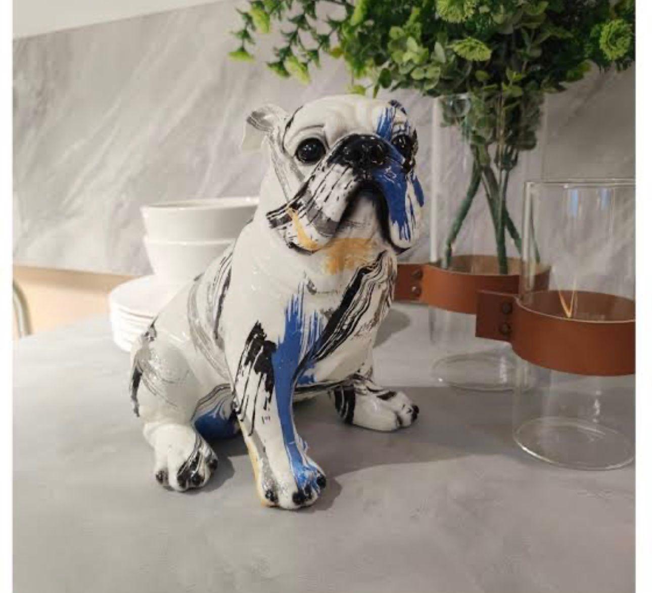 Cali French Bull dog