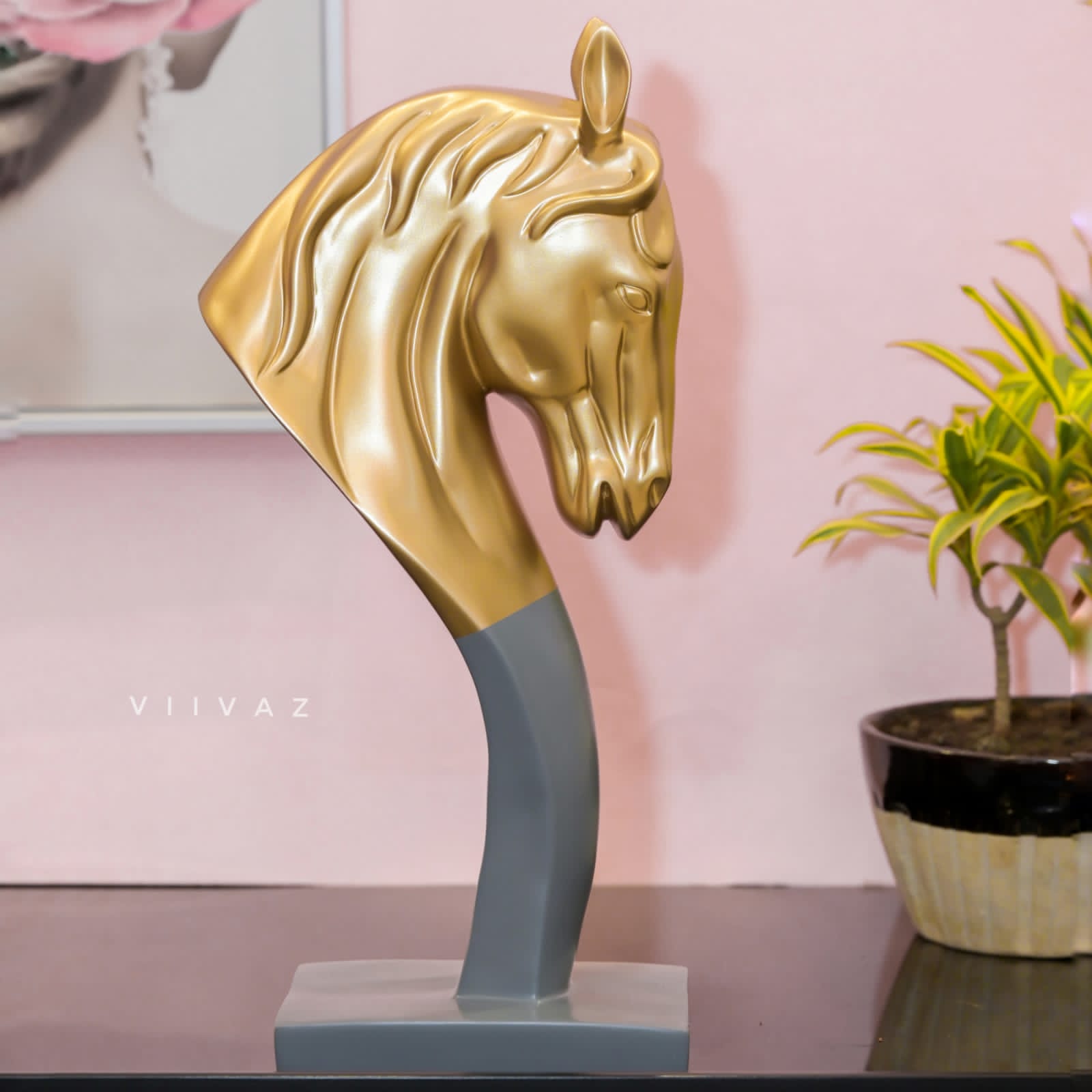 Stallion Horse Face - Symbol of Pride-VIIVAZ